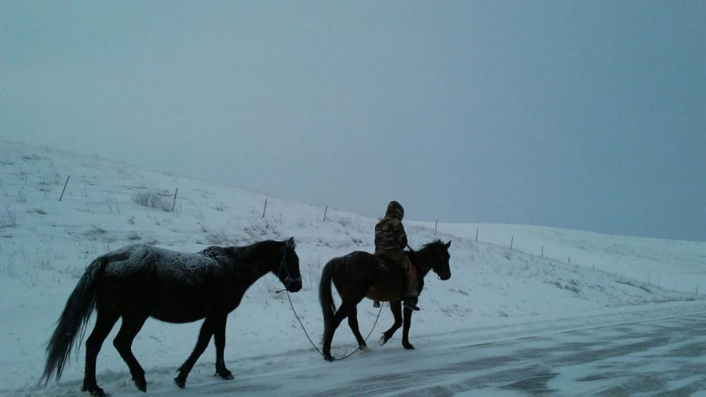 Pferde im Schnee mit Lakota Reiter