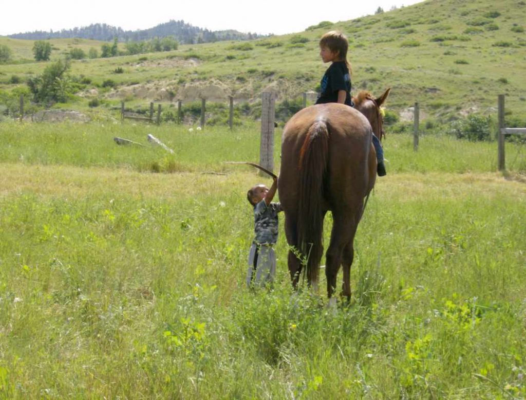 Zwei Kinder und ein Pferd