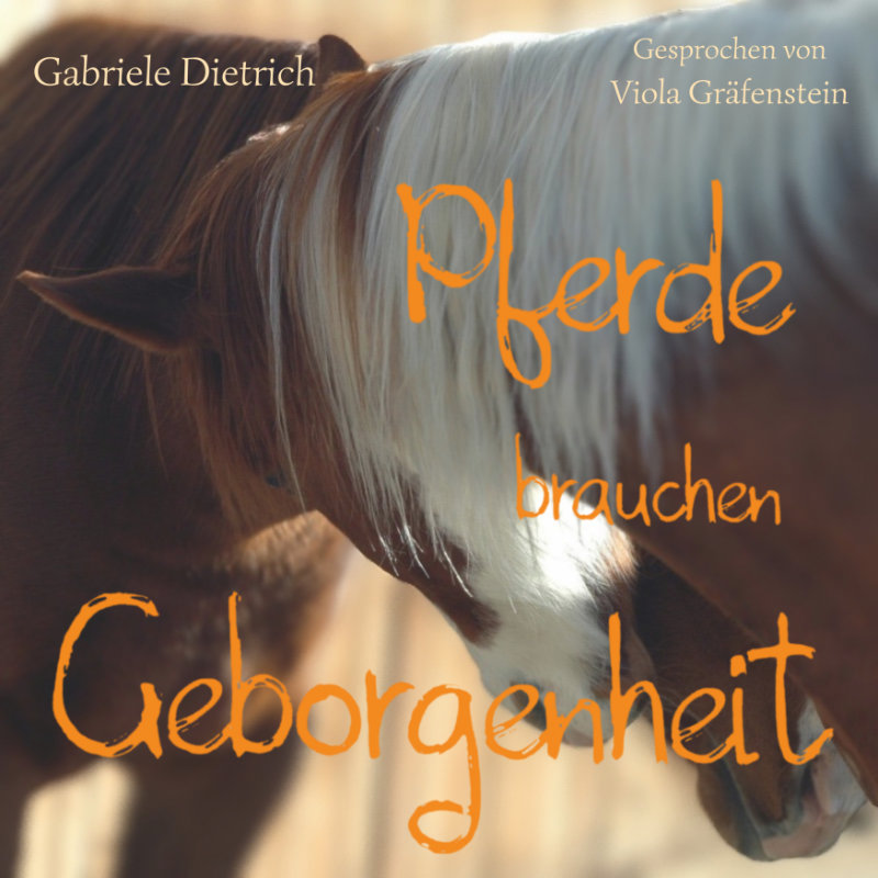 Cover Hörbuch
