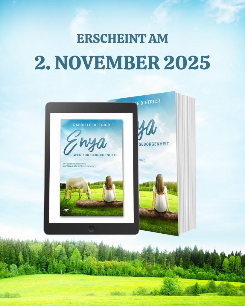 Enya Release