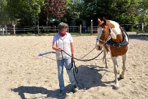 Eine Frau und ein geschecktes Pferd laufen harmonisch nebeneinander. Das Pferd zieht eine blaue weiche Stange hinter sich her.