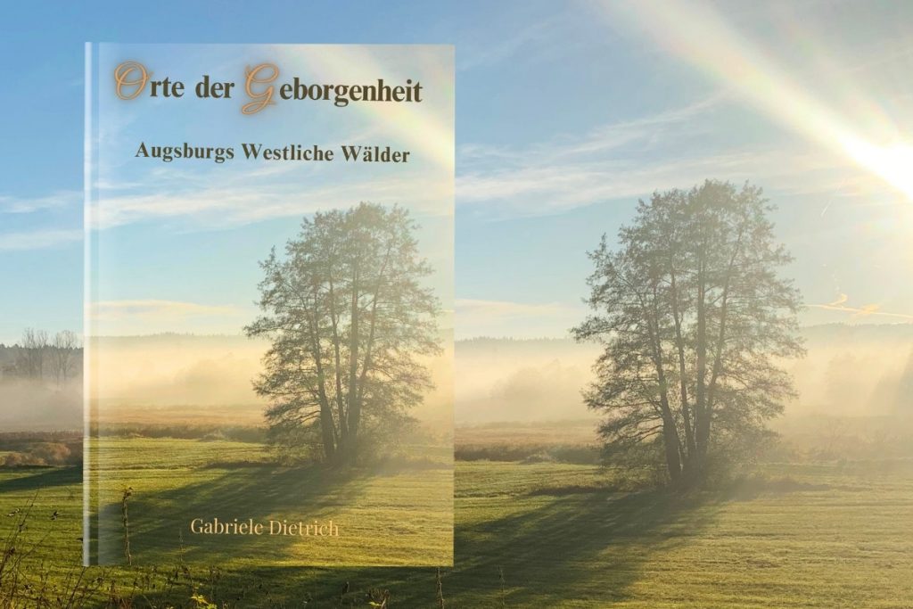 Baum und Wiese im Gegenlicht im Morgennebel