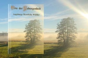 Baum und Wiese im Gegenlicht im Morgennebel