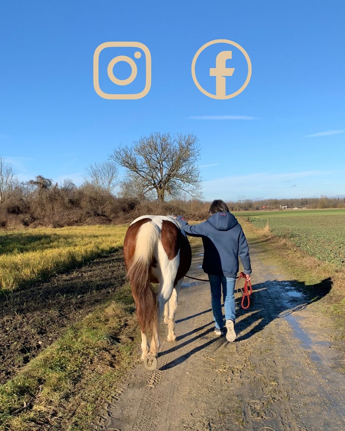 Pferd und Mensch laufen nebeneinander. Am blauen Himmel die Icons von Instagram und Facebook